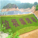 ���������ؓ�������O�䶨�����a